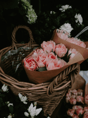 저희 꽃집 단골은 마피아입니다