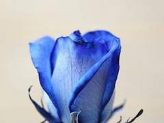 자나깨나 말조심