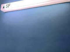 도곡정보문화도서관에 오랜만에 가 보았다