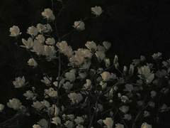 I TOᒪᗪ YOᑌ ᑎOT TO ᖴᗩᒪᒪ ᖴOᖇ IT.