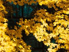 널 위해 살아간다면,