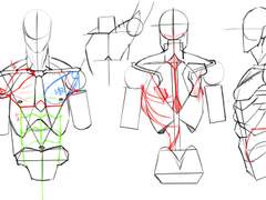 2023년 1월 28일 (토) <해부학>