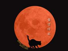 🧡월영 타로 커미션 입니다🧡