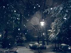 도련님과 깍두기 시각자료집