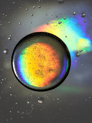 당도랑 강도는 어떻게 하시겠어요?