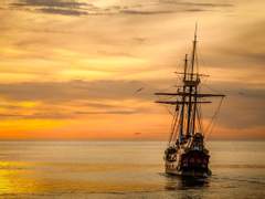 에콰도르의 거미