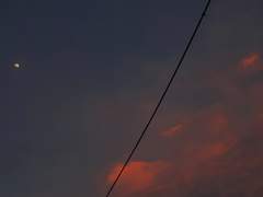 대련 선생님의 소개서