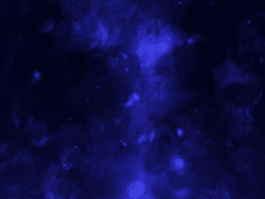 [자캐 메모] 나이, 키 순서