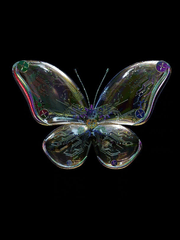 내가 사랑하는 악마야