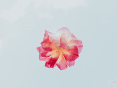 [화산귀환/조걸윤종] 愛之欲基生, 一