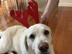 2022/2023 연말연시 - 2