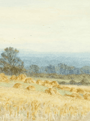 쫌쫌따리 글모음 