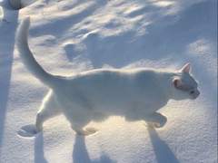 내가 누구인가에 대한 글.