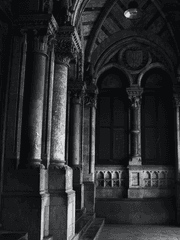 그들의 꿈은 어디까지나 이상에 불과하다