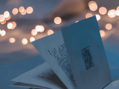 이졸데 라니아케아