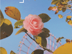 2023 02 한달 공유 다이어리 (2인) (배포)