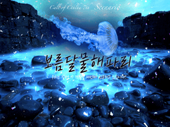 보름달물해파리