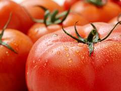 ※필독※화방 사용 방법