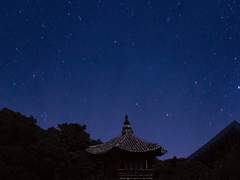 오늘의 헤드라인은...