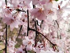 [시화노을] 솔직히 말해줘