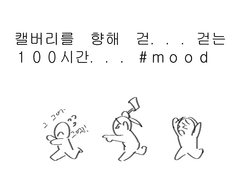 캘백시 외사랑관으로 갔다 온 후기