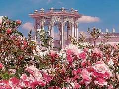 사토 아즈사 성장 전 프로필