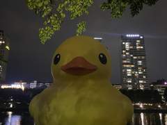 빅5 간호사 연말상여금