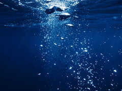 궁합 타로 / 김재희x박무현