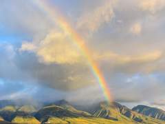 Raphael / XY / 약학부