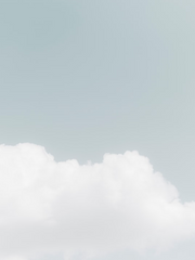 핸다렌의 멀티버스