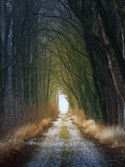 [팡푸] 우린 제법 잘 어울려요