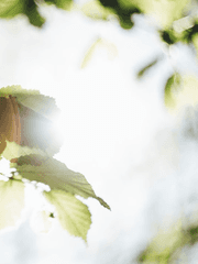 그리고 다시 봄