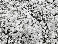 페어 파일에 휴식을