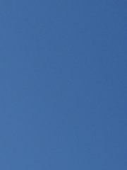 일반인 출입 금지구역