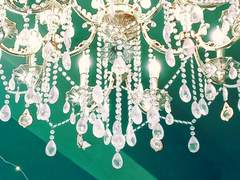 귀족 가의 영애는 남편과 연애하지 않는다