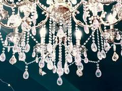 귀족 가의 영애는 슬퍼하지 않는다