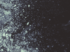 [히카+에메]영웅 오이디푸스