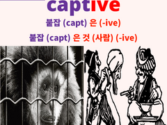 captive