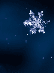 불출속물의 망상썰