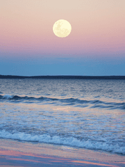 바다의 노래가 닿는 곳