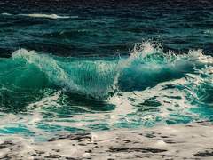 김재혁▪️17세▪️XY▪️대한민국