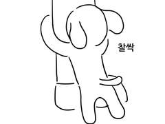 어쩌다 강아지! (소미편)