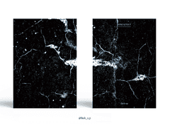 Sold out. SPREAD OUT