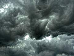 단려하는 결심했다.