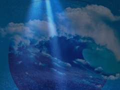 어항 글 커미션