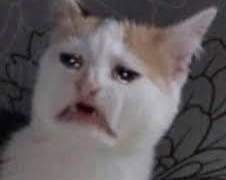 [NCT] 제목 미정 센가물 +8