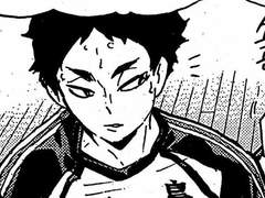 부엉이는 사람을 힐링시켜 3