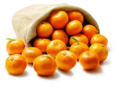 태섭이가 대만이 감귤먹이는 썰