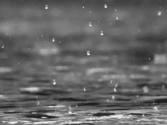 0. 책의 첫 페이지