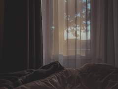 [빵준] 하이드 프롬 더 썬.下